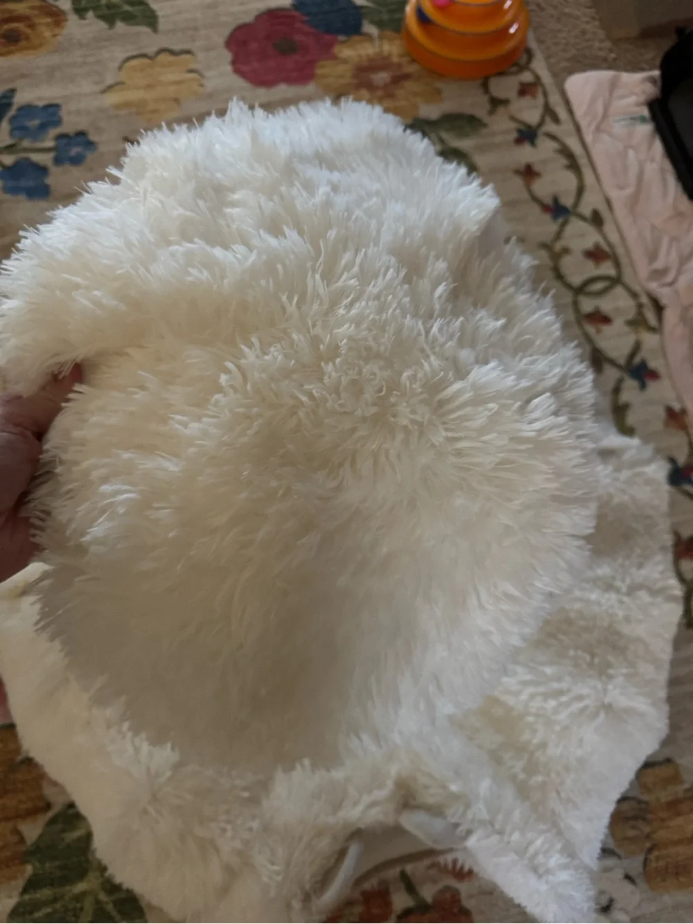 🐾 Extra Large 36